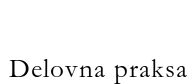 Delovna praksa
